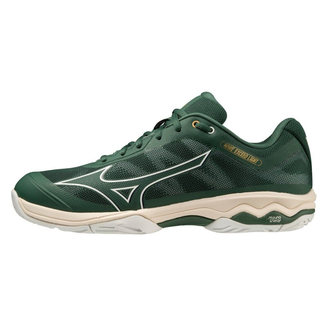 Mizuno wave ascend online 8 purple